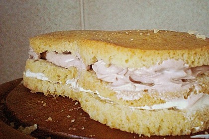 Veganer Biskuit 57