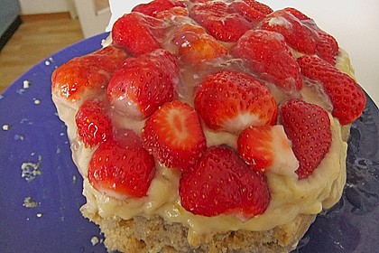 Veganer Biskuit 50