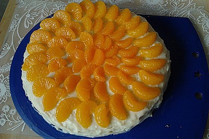 Veganer Biskuit 48