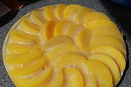 Veganer Biskuit 58