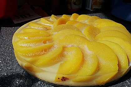 Veganer Biskuit 51