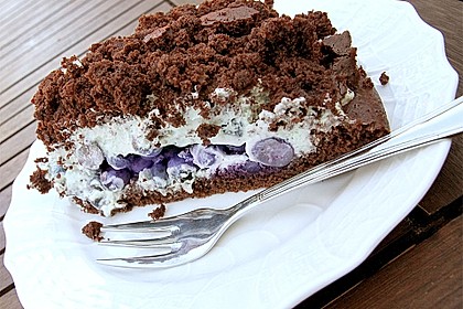 Veganer Biskuit 10