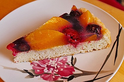 Veganer Biskuit 6