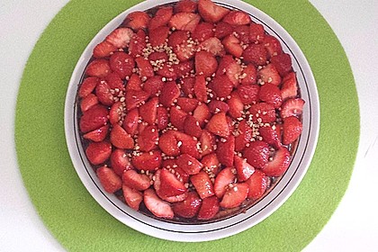 Veganer Biskuit 55