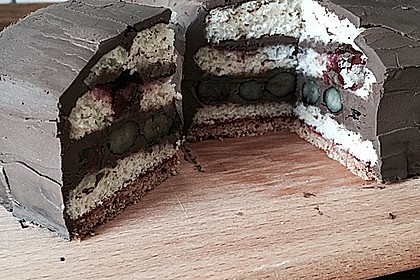 Veganer Biskuit 21