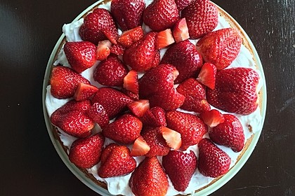 Veganer Biskuit 33