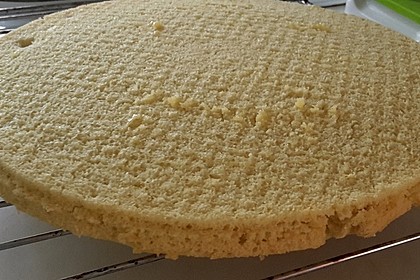 Veganer Biskuit 36