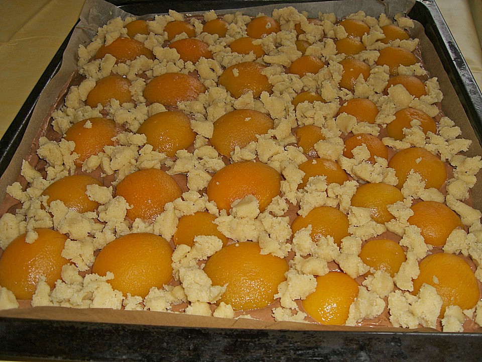Schokoladen - Aprikosen - Blechkuchen mit Streuseln von urmeli75 ...