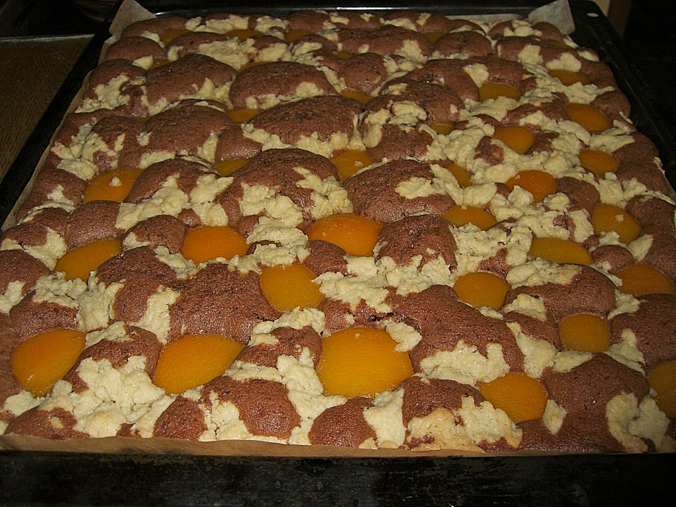 Schokoladen - Aprikosen - Blechkuchen mit Streuseln von urmeli75 ...