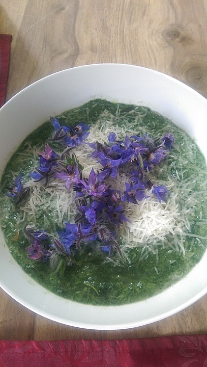 Kartoffelsuppe mit Borretsch und Borretschblüten von Wüstensohn ...