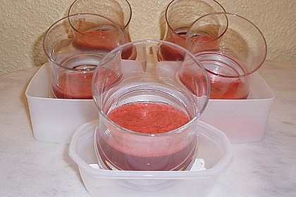 Panna cotta mit Himbeer - Gelee 49