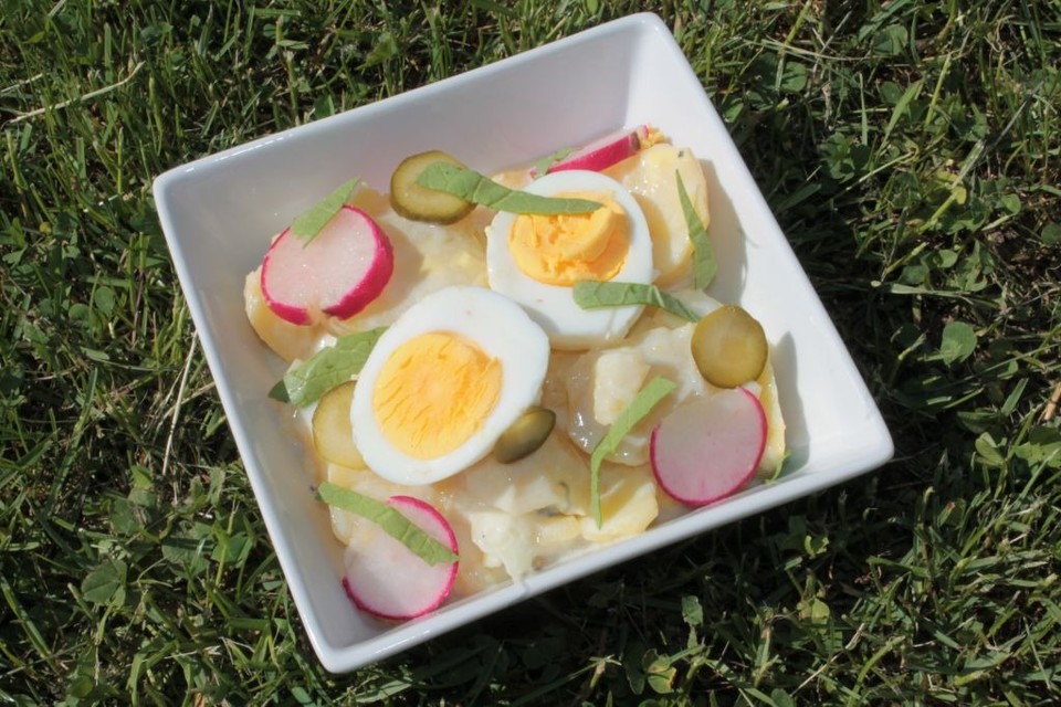 Kartoffelsalat mit leichtem Buttermilch - Joghurt - Dressing von frau ...