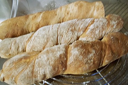 Tomatenwurzelbrote von eibauer 57