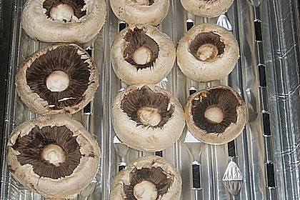 Gefüllte Champignons 7
