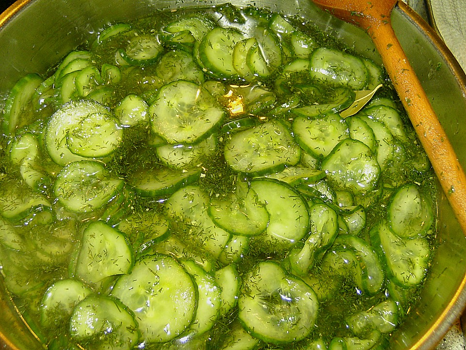 Dillgurken im Glas von Angy2706 | Chefkoch.de