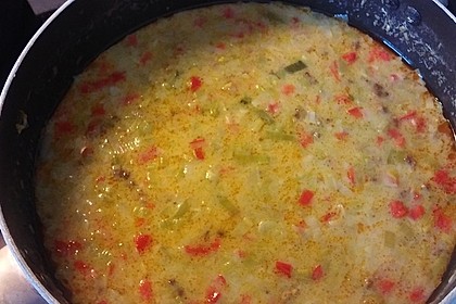 Hackfleisch-Lauch-Suppe 33