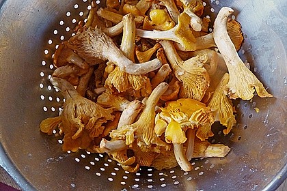 Bandnudeln mit Pfifferlingsauce 14