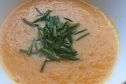 Möhren - Ingwer - Suppe 17