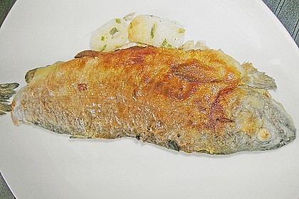 Forelle gebraten 6
