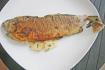 Forelle gebraten 4