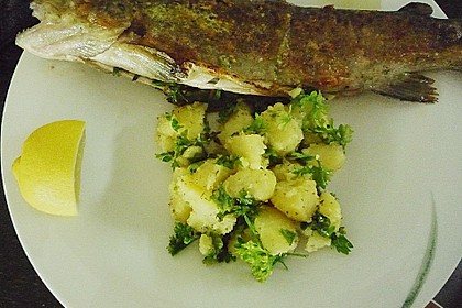 Forelle gebraten 3