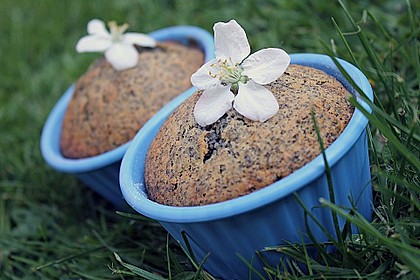 Rhabarber - Mohn - Muffins 1