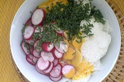 Rettich - Radieschen - Salat 5