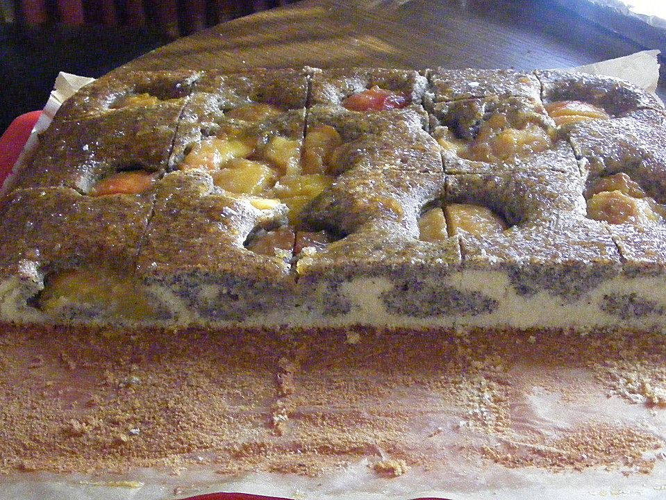 Pfirsich - Mohn Blechkuchen von lmo | Chefkoch.de