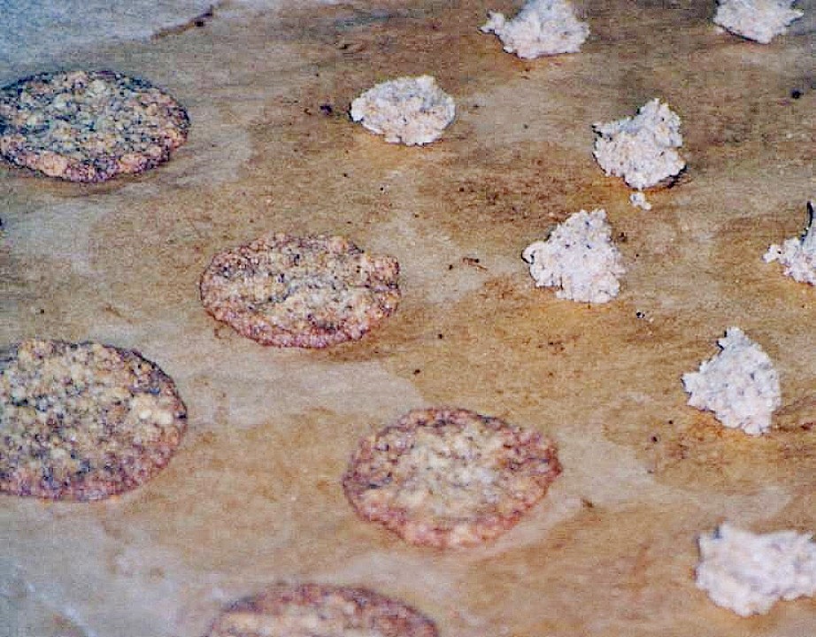 Haferflocken - Kokos - Cookies - Ein schmackhaftes Rezept | Chefkoch.de