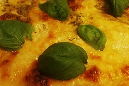 Mozzarella - Hähnchen in Basilikum - Sahnesauce 297