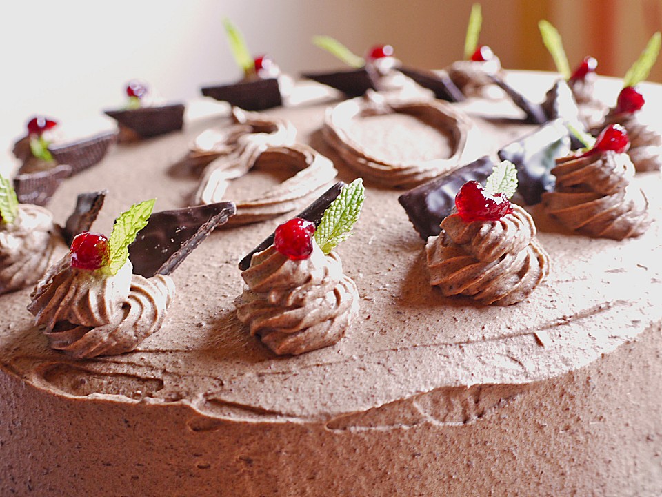 Pfefferminz-Preiselbeer-Torte von shinysummer | Chefkoch.de