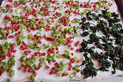 Elsässer Flammkuchen 201