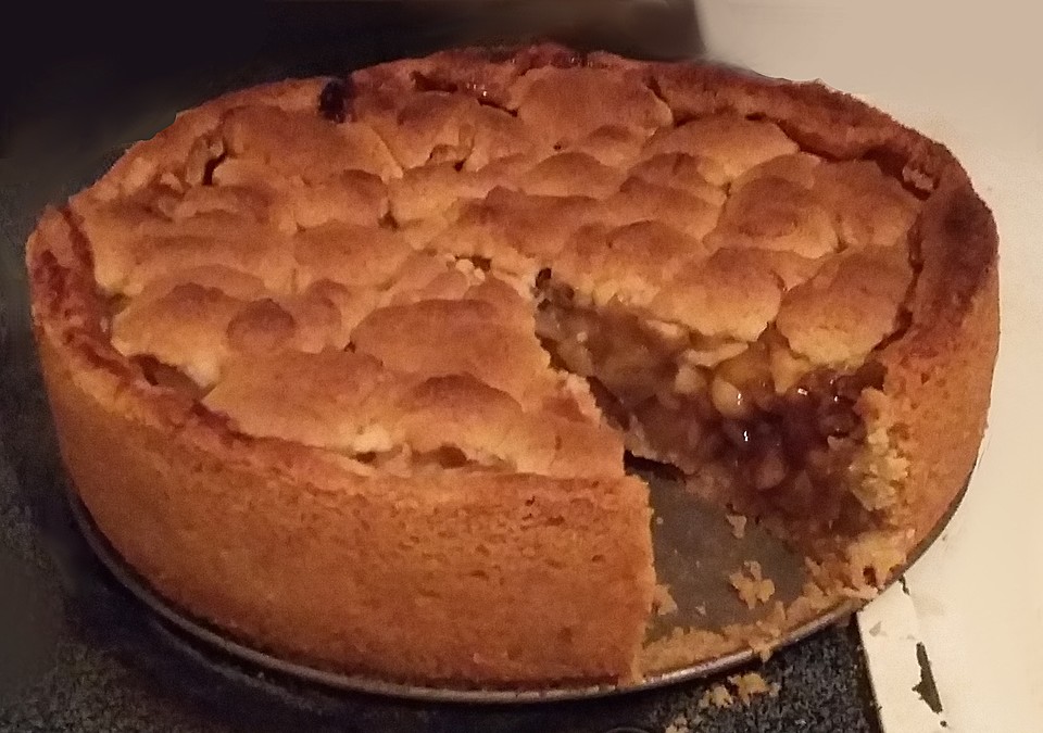 Apfel-Pudding Kuchen mit Walnüssen von Poysoneve | Chefkoch.de