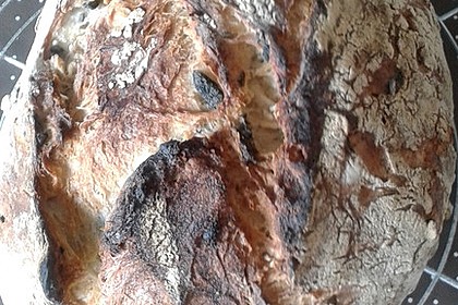 Knuspriges Oliven-Ciabatta 5