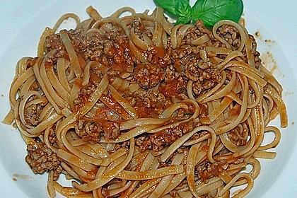 Bolognese 13