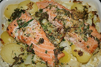 Lachs auf Spitzkohl 1