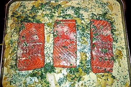 Lachs auf Spitzkohl 7