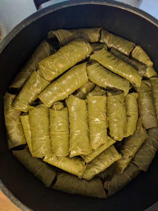 Gefüllte Weinblätter mit Knoblauchsauce von groovekiller | Chefkoch.de