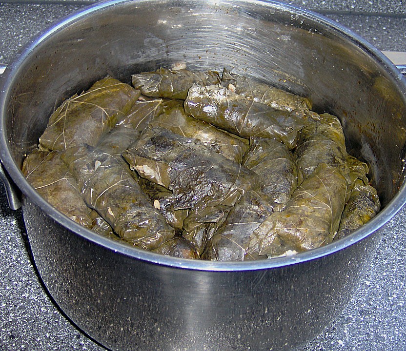 Gefüllte Weinblätter mit Knoblauchsauce von groovekiller | Chefkoch.de