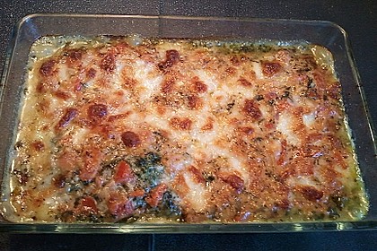 Vegetarisch gefüllte Cannelloni 14