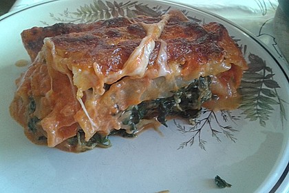 Vegetarisch gefüllte Cannelloni 8