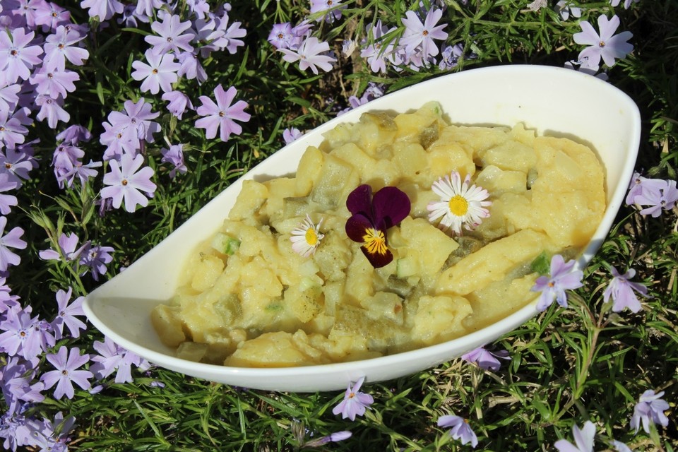 Kartoffel-Gurken Salat von PeachPie12 | Chefkoch.de