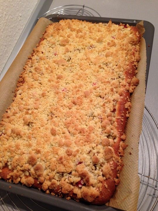 Rhabarber - Streusel Kuchen auf Quark - Öl Teig | Chefkoch.de