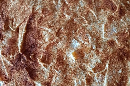 Pfirsich-Schmand-Kuchen von ManuGro | Chefkoch.de