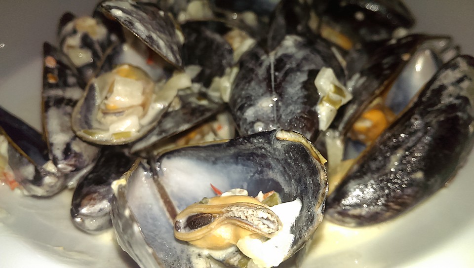 Schlechte Muscheln Gegessen Was Tun