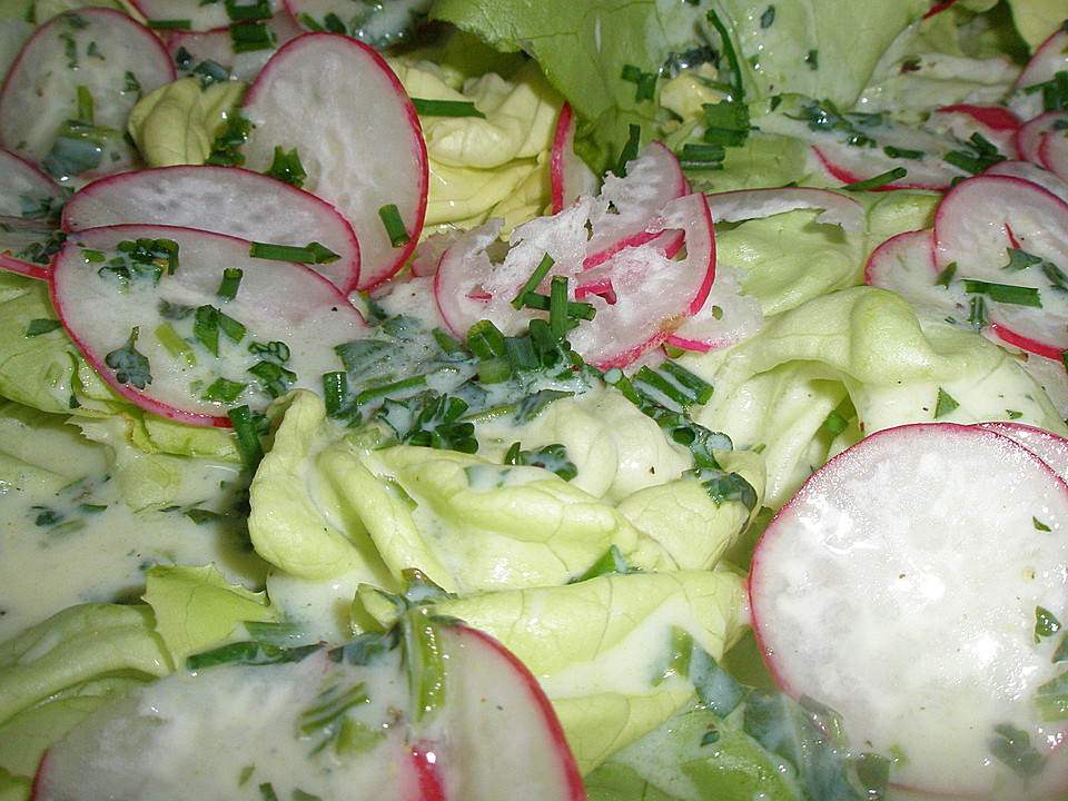 Frühlingshafter Kopfsalat mit Radieschen von patty89 | Chefkoch.de