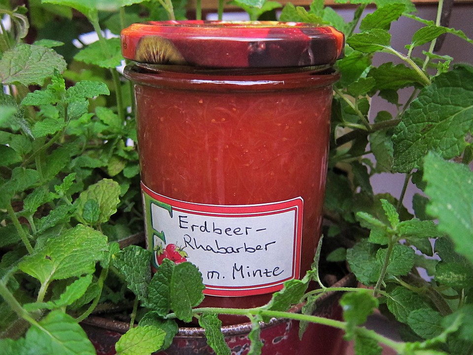 Erdbeer-Rhabarber-Marmelade mit Minze von Backula | Chefkoch.de