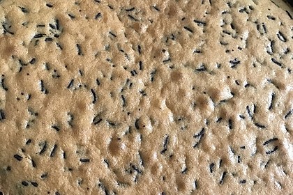 Ameisenkuchen vom Blech 15