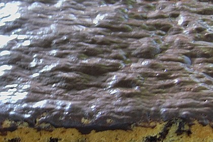 Ameisenkuchen vom Blech 24