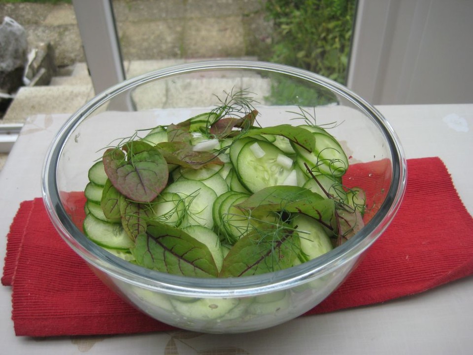 Gurken-Blutampfer-Salat mit frischem Dill von patty89 | Chefkoch.de